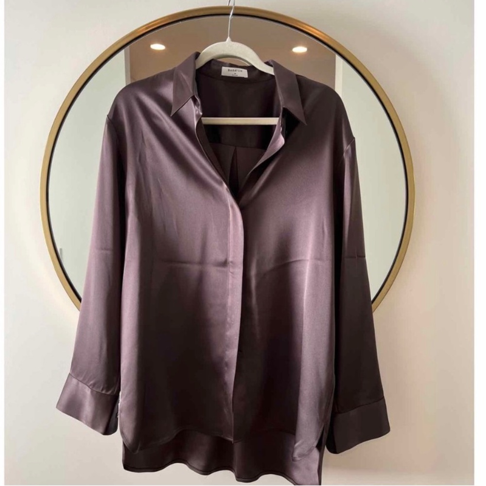 Aritzia Babaton Sable Button Down Shirt